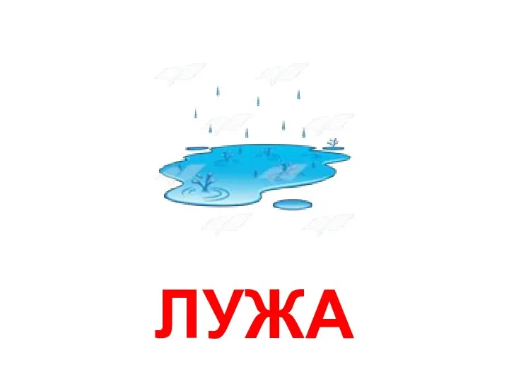 ЛУЖА