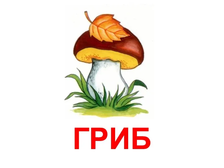 ГРИБ