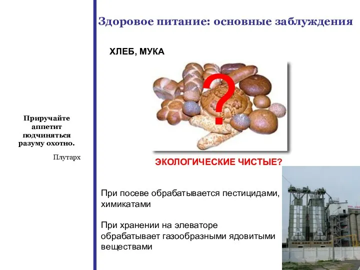 Здоровое питание: основные заблуждения ХЛЕБ, МУКА ? ЭКОЛОГИЧЕСКИЕ ЧИСТЫЕ? При посеве обрабатывается