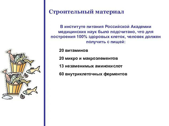 В институте питания Российской Академии медицинских наук было подсчитано, что для построения