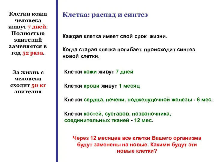 Клетка: распад и синтез Каждая клетка имеет свой срок жизни. Когда старая