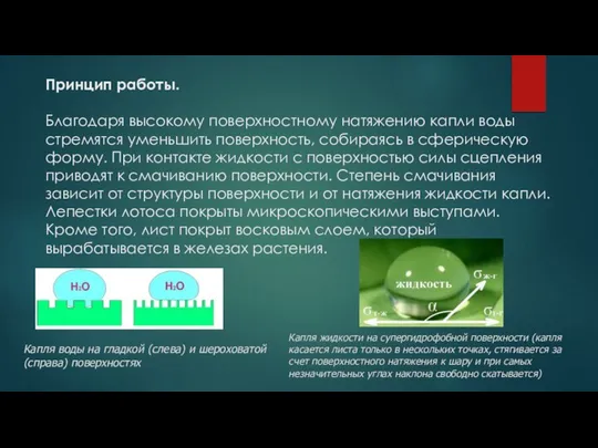 Принцип работы. Благодаря высокому поверхностному натяжению капли воды стремятся уменьшить поверхность, собираясь