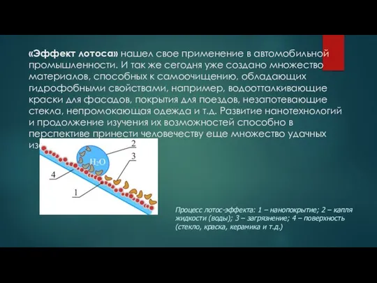 «Эффект лотоса» нашел свое применение в автомобильной промышленности. И так же сегодня