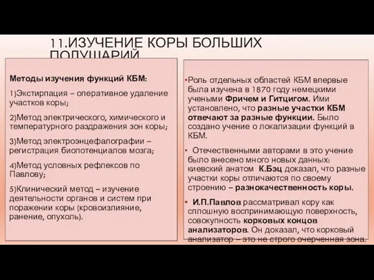 11.ИЗУЧЕНИЕ КОРЫ БОЛЬШИХ ПОЛУШАРИЙ Методы изучения функций КБМ: 1)Экстирпация – оперативное удаление