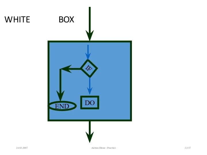 WHITE BOX 24.03.2007 Adrian Iftene - Practică /37