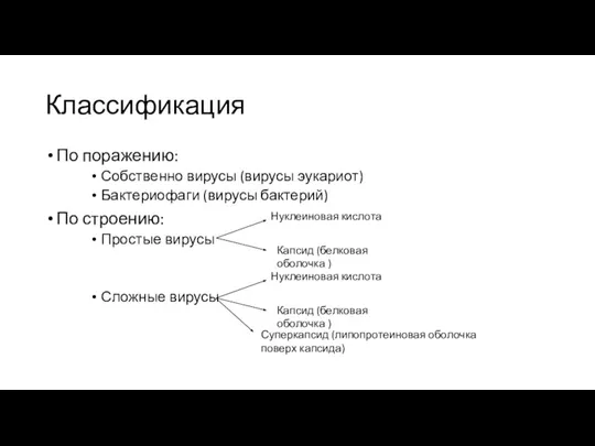 Классификация По поражению: Собственно вирусы (вирусы эукариот) Бактериофаги (вирусы бактерий) По строению: