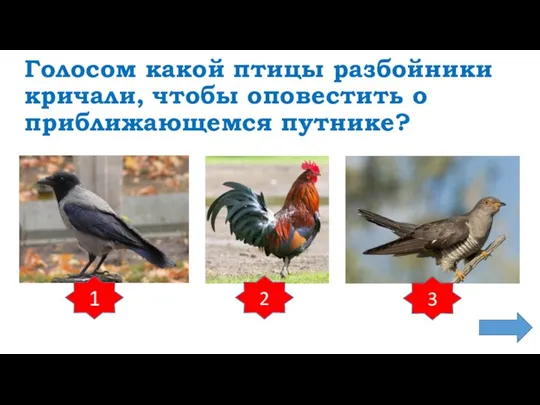 Голосом какой птицы разбойники кричали, чтобы оповестить о приближающемся путнике? 1 2 3