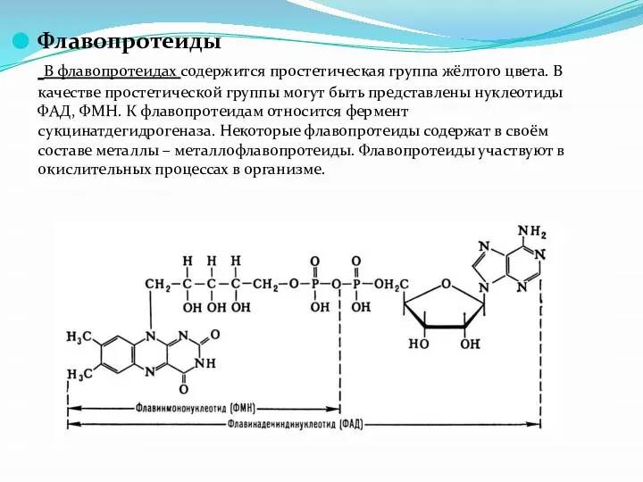 Флавопротеиды В флавопротеидах содержится простетическая группа жёлтого цвета. В качестве простетической группы