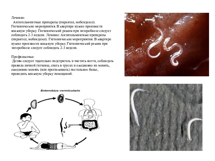 Лечение: Антигельминтные препараты (пирантел, мебендазол). Гигиенические мероприятия. В квартире нужно произвести влажную