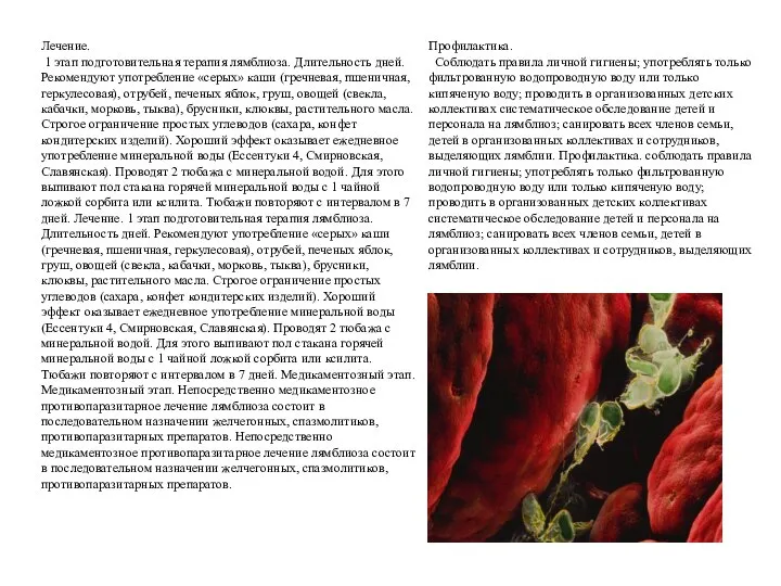Лечение. 1 этап подготовительная терапия лямблиоза. Длительность дней. Рекомендуют употребление «серых» каши