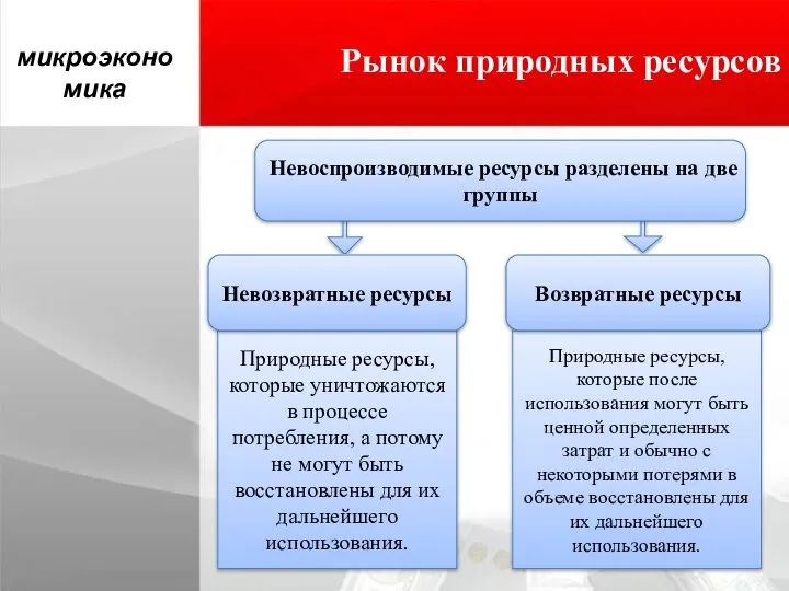 Рынок природных ресурсов микроэкономика Природные ресурсы, которые уничтожаются в процессе потребления, а