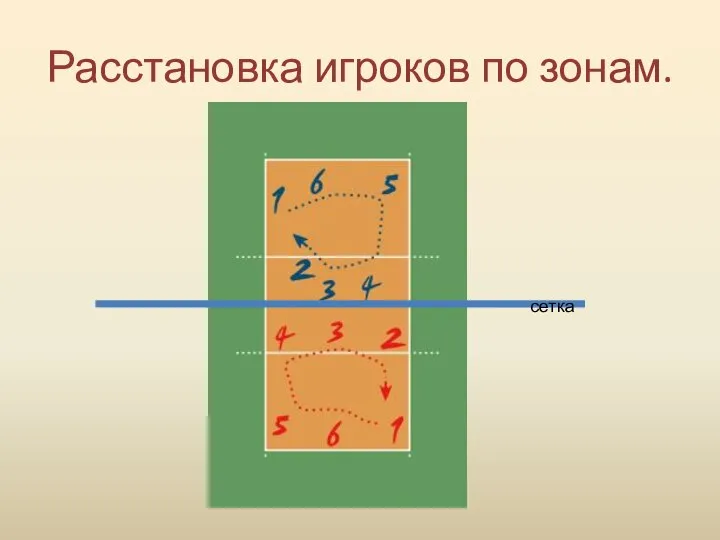 Расстановка игроков по зонам. сетка