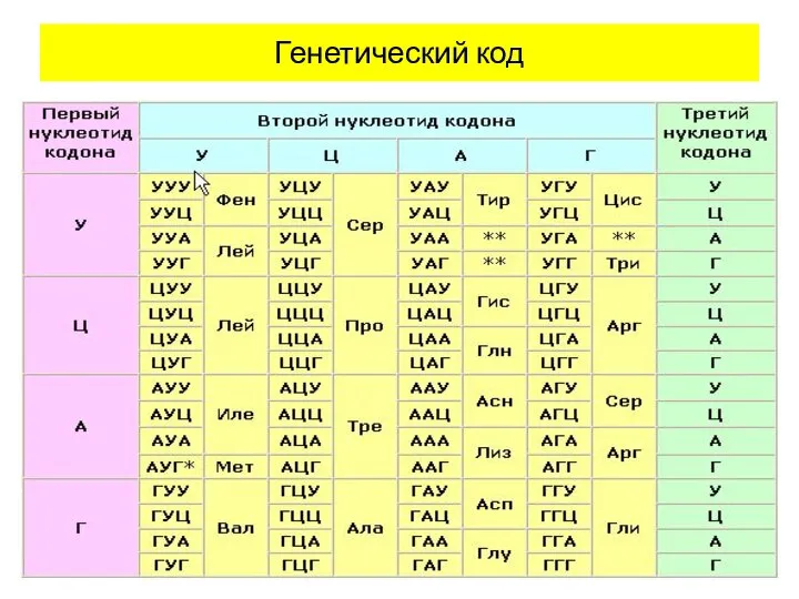 Генетический код