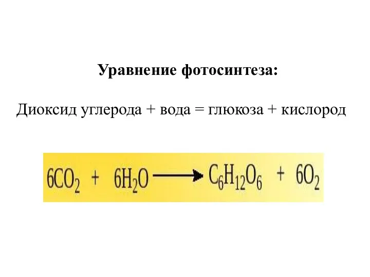 Уравнение фотосинтеза: Диоксид углерода + вода = глюкоза + кислород