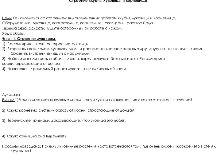 Лабораторная работа 1 группы Строение клубня, луковицы и корневища. Цель: Ознакомиться со