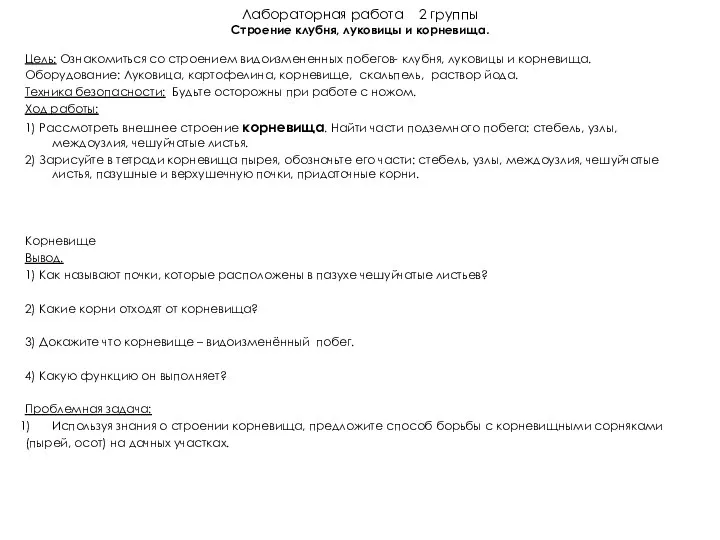 Лабораторная работа 2 группы Строение клубня, луковицы и корневища. Цель: Ознакомиться со