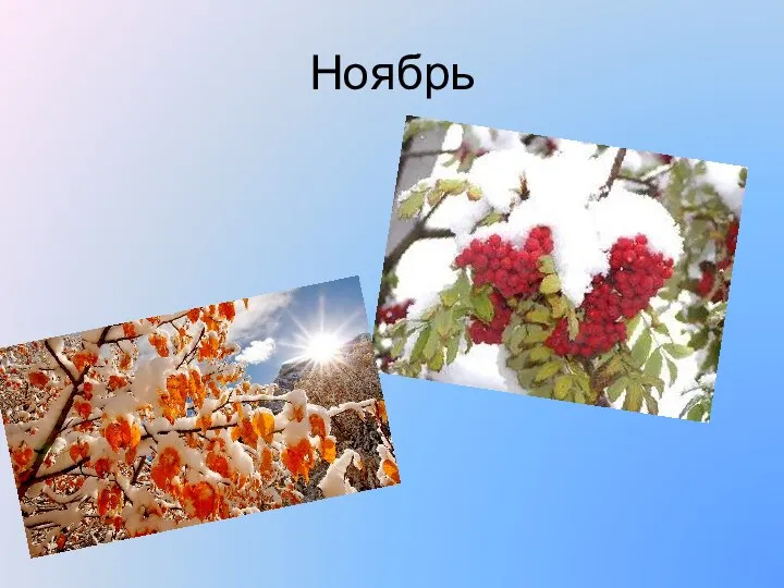 Ноябрь