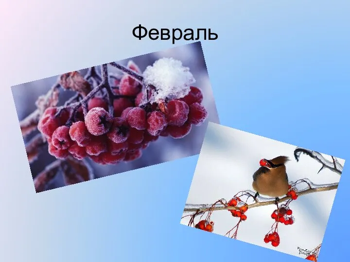 Февраль