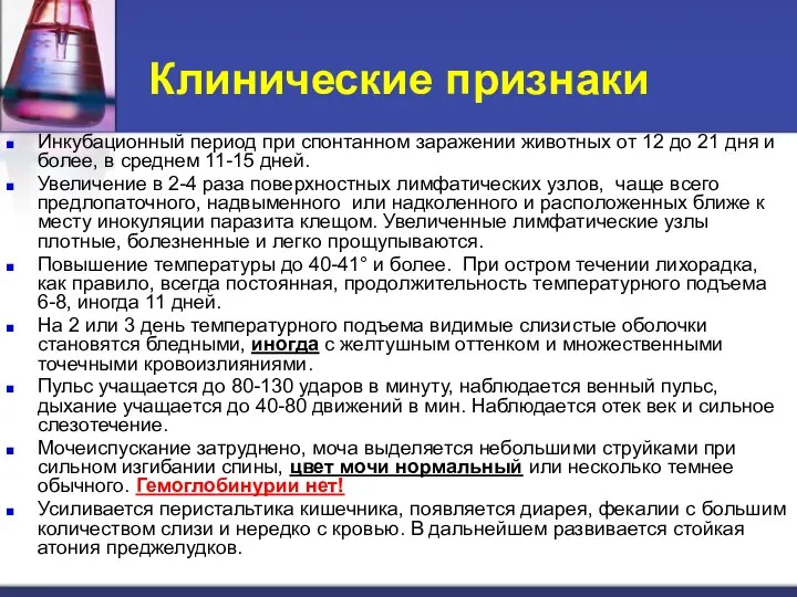 Клинические признаки Инкубационный период при спонтанном заражении животных от 12 до 21