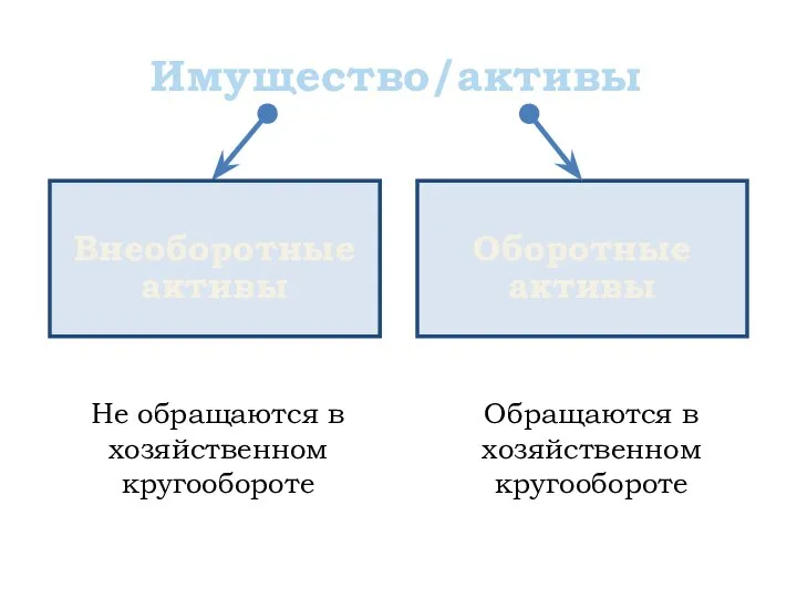 Имущество/активы Оборотные активы Не обращаются в хозяйственном кругообороте Обращаются в хозяйственном кругообороте Внеоборотные активы