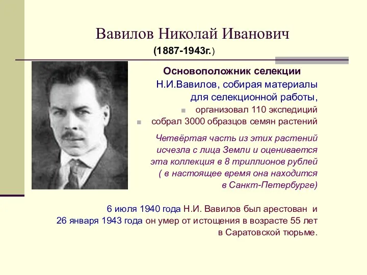 Вавилов Николай Иванович Основоположник селекции Н.И.Вавилов, собирая материалы для селекционной работы, организовал