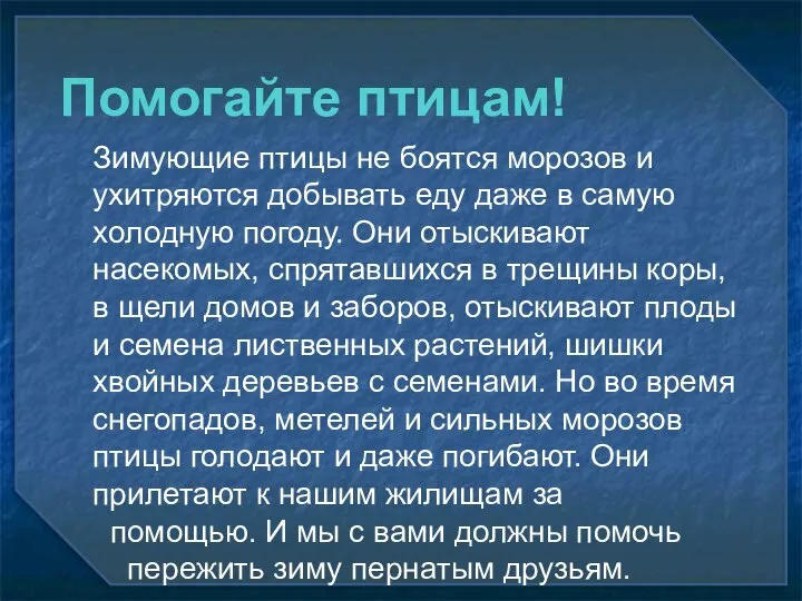 Зимующие птицы не боятся морозов и ухитряются добывать еду даже в самую