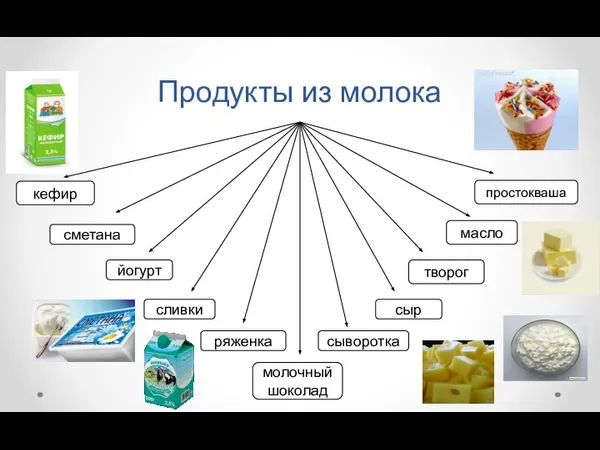 Продукты из молока кефир творог сливки сметана масло йогурт сыворотка молочный шоколад сыр ряженка простокваша