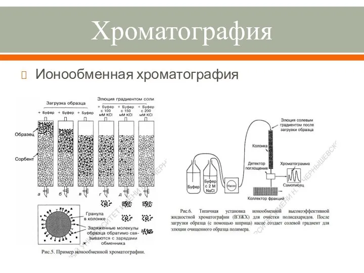 Хроматография Ионообменная хроматография