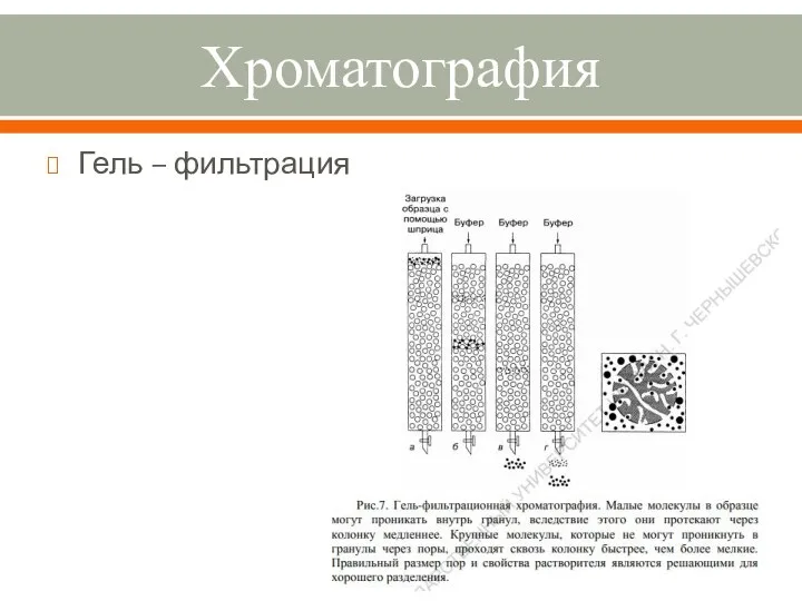 Хроматография Гель – фильтрация