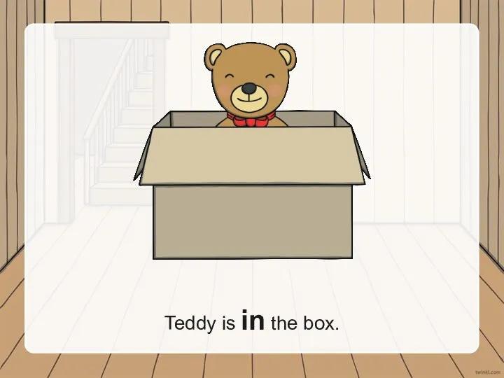 Teddy is in the box.