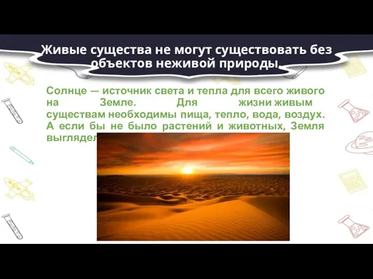 Живые существа не могут существовать без объектов неживой природы. Солнце — источник