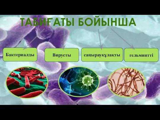 ТАБИҒАТЫ БОЙЫНША Вирусты саңырауқұлақты гельминтті Бактериалды