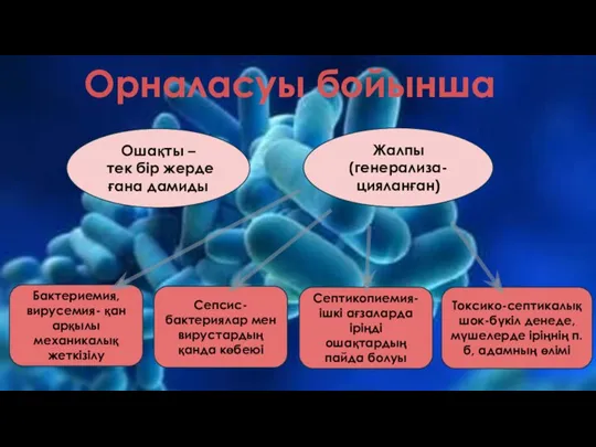 Орналасуы бойынша Ошақты – тек бір жерде ғана дамиды Жалпы (генерализа- цияланған)