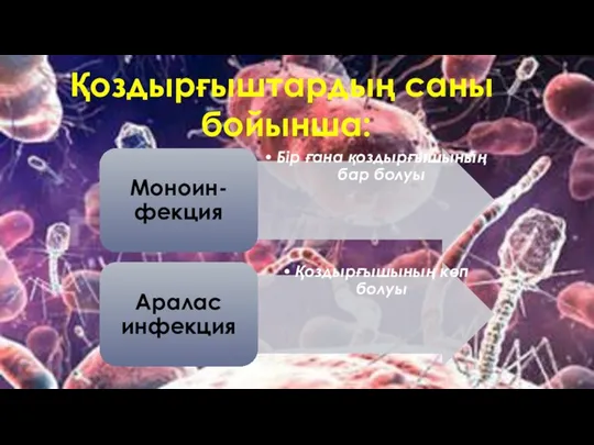 Қоздырғыштардың саны бойынша: