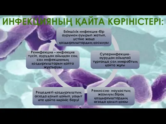 ИНФЕКЦИЯНЫҢ ҚАЙТА КӨРІНІСТЕРІ: