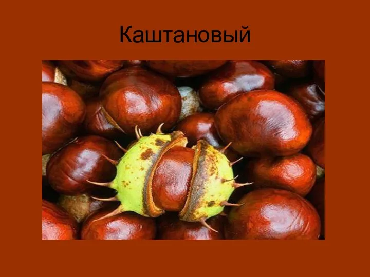 Каштановый