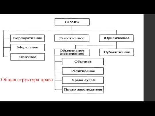 . Общая структура права