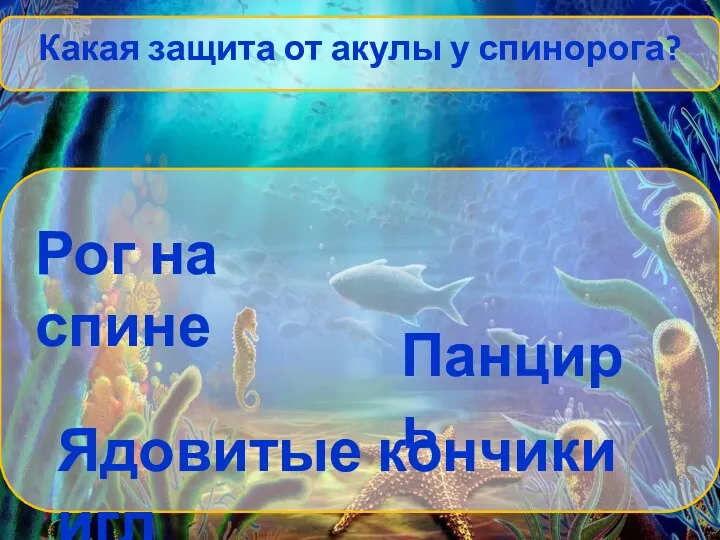 Какая защита от акулы у спинорога? Рог на спине Панцирь Ядовитые кончики игл