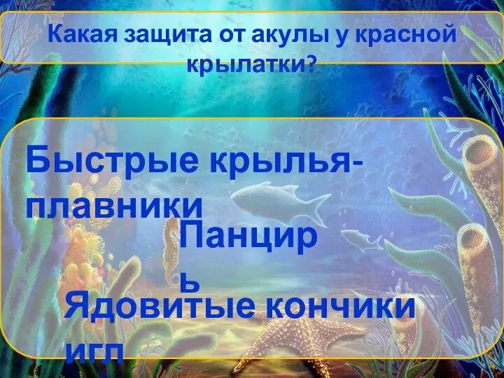 Какая защита от акулы у красной крылатки? Быстрые крылья-плавники Панцирь Ядовитые кончики игл