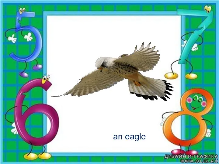 an eagle