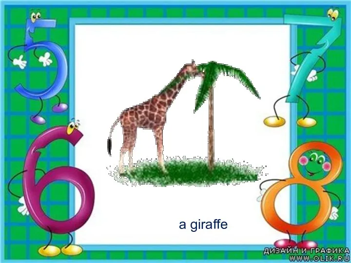 a giraffe