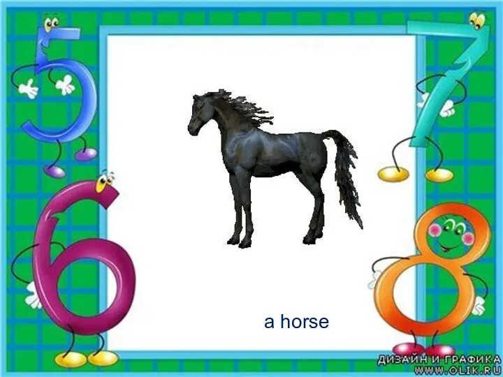 a horse