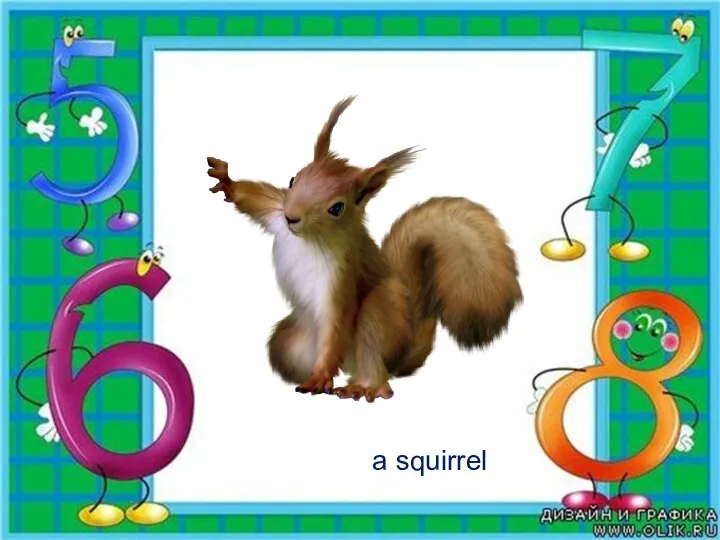 a squirrel
