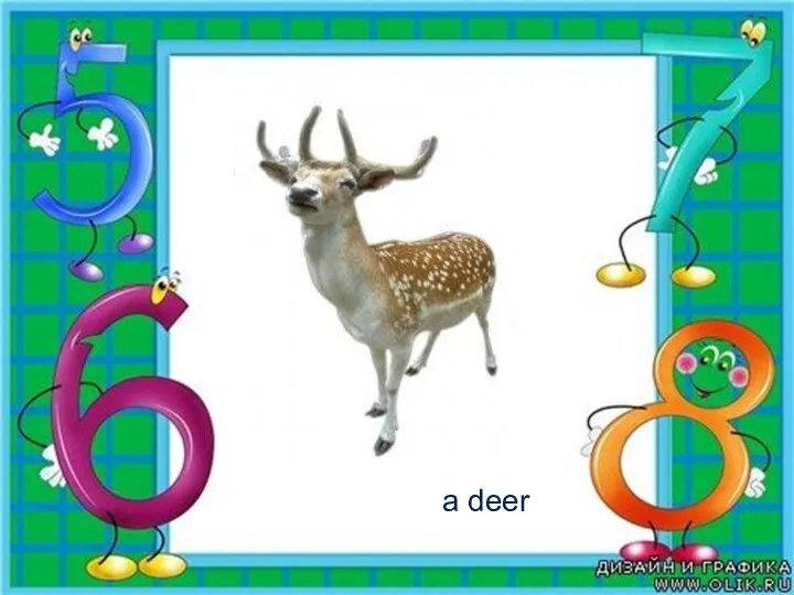 a deer