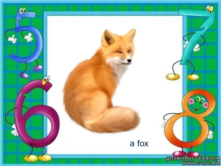 a fox