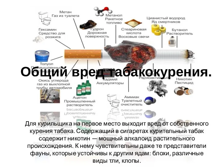 Для курильщика на первое место выходит вред от собственного курения табака. Содержащий