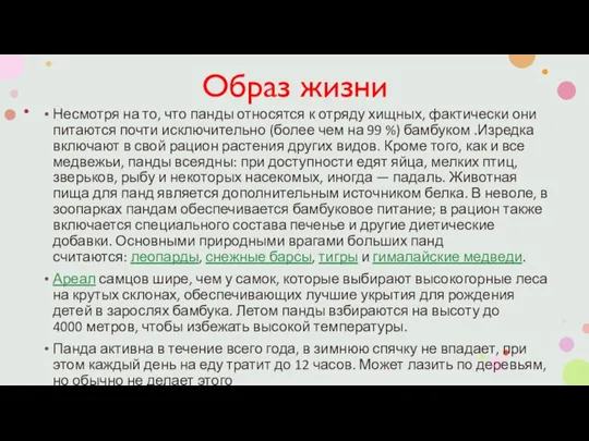 Образ жизни Несмотря на то, что панды относятся к отряду хищных, фактически