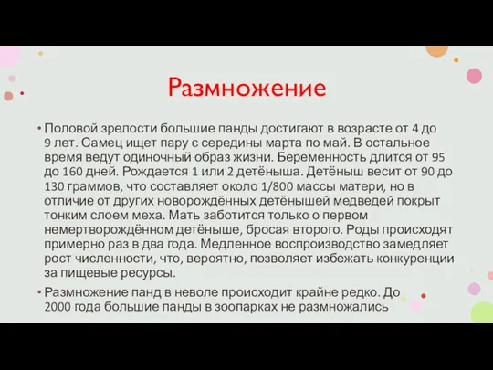 Размножение Половой зрелости большие панды достигают в возрасте от 4 до 9