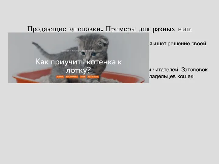 Продающие заголовки. Примеры для разных ниш Заголовок, ориентированный на конкретную ЦА, которая