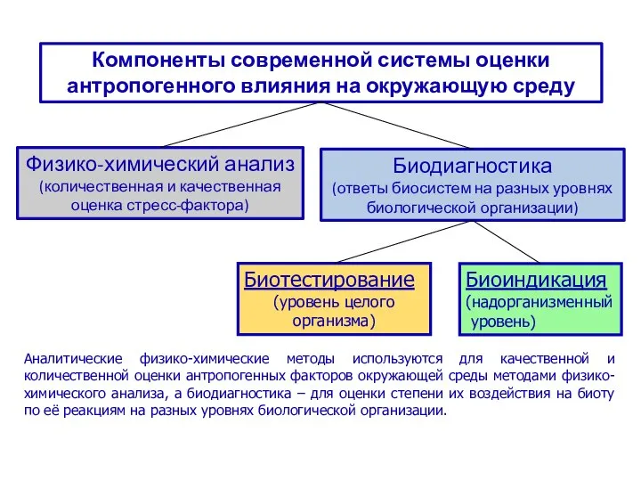 Компоненты современной системы оценки антропогенного влияния на окружающую среду Биотестирование (уровень целого